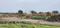 Manglia Main Image 1