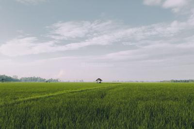 Image of 30500 Sq.ft Residential Plot / Land for sale in Nallavanpalayam, Tiruvannamalai for Rs. 5600000