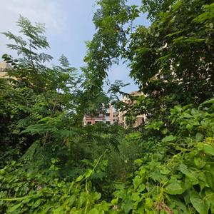 Image of 28800 Sq.ft Residential Plot / Land for sale in Madurdaha, Kolkata for Rs. 36000000