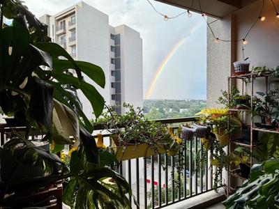 Balcony Image of 1500 Sq.ft 3 BHK Apartment / Flat for rent in Orchid Piccadilly, Chokkanahalli Bengaluru for Rs. 60000