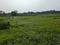 Sonargaon 2 Sonarpur plot Main Image 1