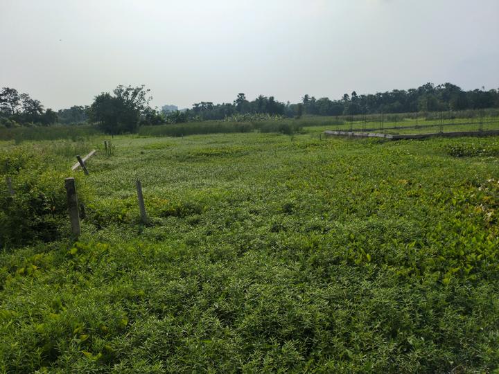 Sonargaon 2 Sonarpur plot Main Image 1