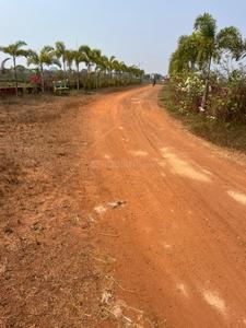 Patrapoda Plot View 2