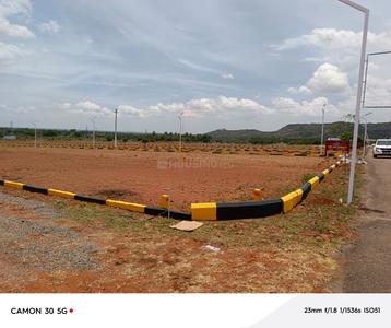 Annur Plot View 2