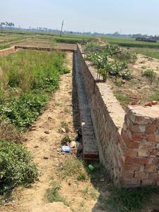 Maghra Plot View 2