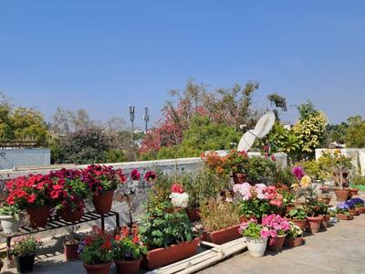 Image of 3762 Sq.ft Residential Plot / Land for sale in Sector 128, Noida for Rs. 200000000