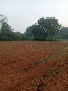 Image of 1200 Sq.ft Residential Plot / Land for sale in Trisulia, Cuttack for Rs. 840000
