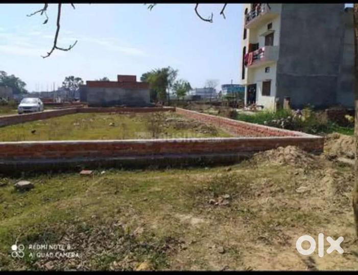 Patligram phase lll  Main Image 1
