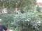 RESIDENTIAL PLOT Main Image 1