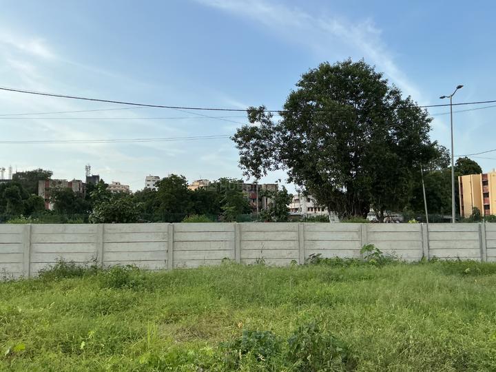 Sherkhi Main Image 1