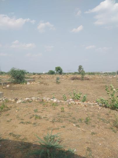 raghu valley Main Image 1