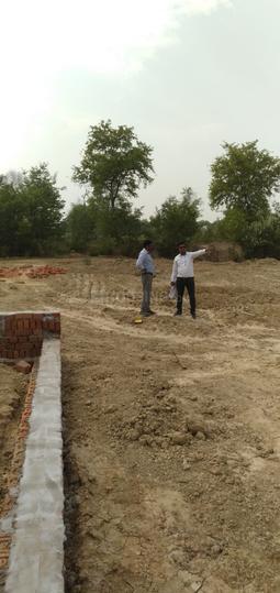 Vetexinn Main Image 1