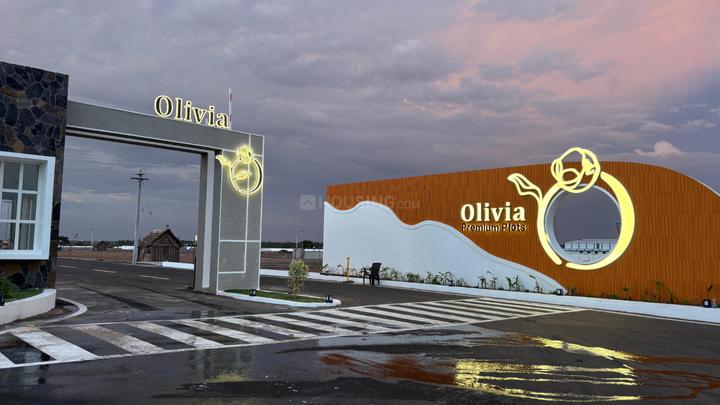 RR Olivia Main Image 1