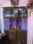 Tanish Srushti Main Image 1
