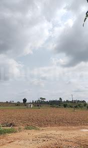 Shri Krishna Oasis Main Image 1