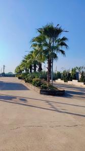 Image of 600 Sq.ft Residential Plot / Land for sale in Sejbahar, Raipur for Rs. 1800000