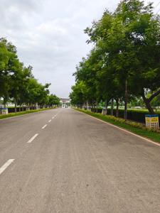 Image of 2745 Sq.ft Residential Plot / Land for sale in Bhoomatha Thalluri Township Phase II, Bhogapuram, Vizianagaram for Rs. 10800000