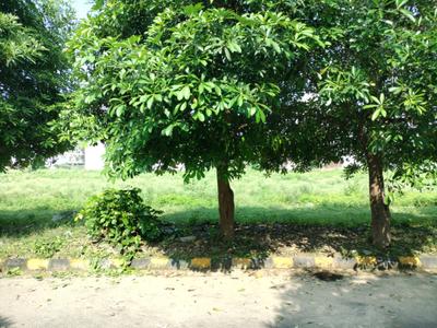 Block W Plot View 1