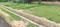 Mohanlalganj Plot View 2