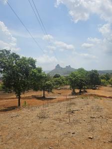 Agricultural Land