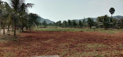 Balaji Hill County Plot View 3