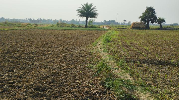 Beldari Chak Main Image 1
