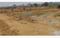 Rohania Main Image 1