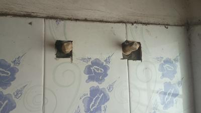 Image of 954 Sq.ft 3 BHK Apartment / Flat for sale in Agarpara, Kolkata for Rs. 3200000