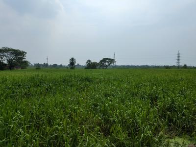 Image of 720 Sq.ft Residential Plot / Land for sale in Wander Valley, Joka, Kolkata for Rs. 255664