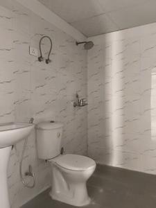 Common Bathroom Image of 1845 Sq.ft 4 BHK Apartment / Flat for sale in Rudra Palace Heights, Noida Extension Greater Noida for Rs. 18693585