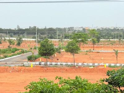 Sri padmavathi estates Plot View 2