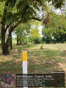 Image of 600 Sq.ft Residential Plot / Land for sale in Raysan, Gandhinagar for Rs. 42600000
