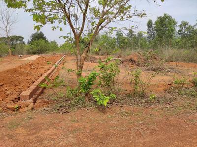 Image of 7500 Sq.ft Residential Plot / Land for sale in Mendhasala, Bhubaneswar for Rs. 7500000
