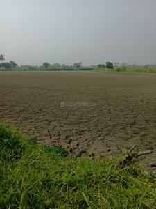 Bipadbhanjan Colony Plot View 2