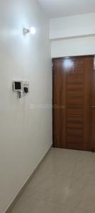 Hall Image of 1305 Sq.ft 3 BHK Apartment / Flat for rent in Danapur Patna for Rs. 16000