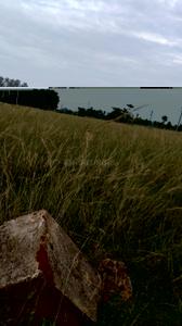 Image of 200 Sq.ft Residential Plot / Land for sale in Koduru, Vizianagaram for Rs. 3250000