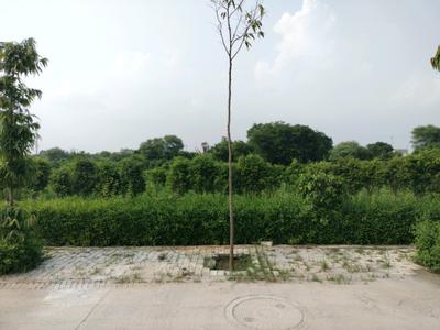 Image of 1350 Sq.ft Residential Plot / Land for sale in Sector 98, Faridabad for Rs. 25100000