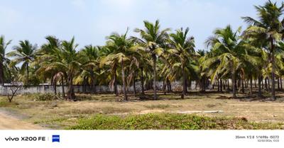 Image of 600 Sq.ft Residential Plot / Land for sale in Mahabalipuram, Chennai for Rs. 894000