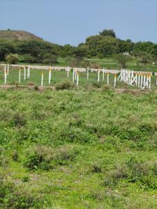 Image of 678 Sq.ft Residential Plot / Land for sale in Adgaon, Pune for Rs. 2800000