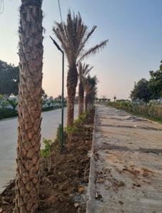 Image of 1500 Sq.ft Residential Plot / Land for sale in Railway Colony, Bilaspur for Rs. 1300000