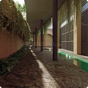 Shilp The Root Plot View 2