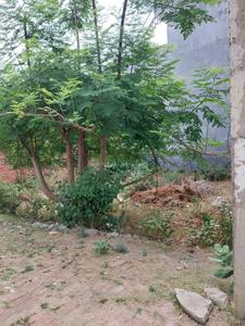 Residential Plot