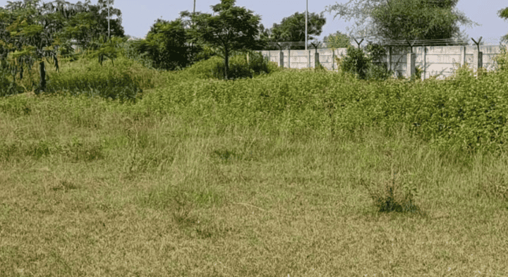 Ashit Kumar Singh Main Image 1