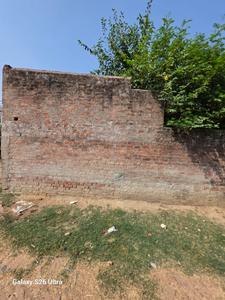 nill Plot View 3