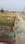 Babatpur Plot View 2