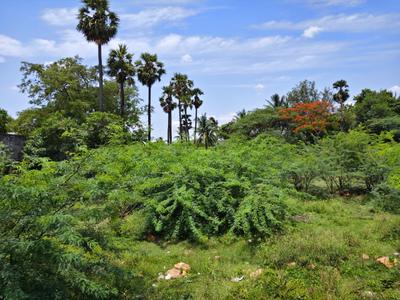 Image of 436 Sq.ft Residential Plot / Land for sale in Tambaram, Chennai for Rs. 1100000