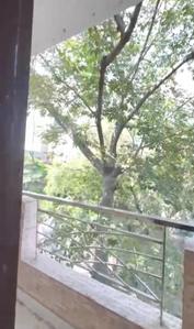 Balcony Image of 600 Sq.ft 1 BHK Builder Floor for rent in Patel Nagar New Delhi for Rs. 19000