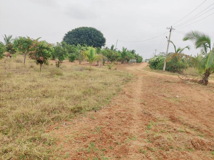 600 Sqft Agricultural Land for Sale in Balanagar, Hyderabad Property ID 13228800