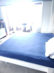 Bedroom Image of 1850 Sq.ft 3 BHK Apartment / Flat for rent in Colaba Mumbai for Rs. 300000