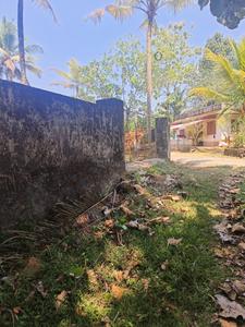 Elamkulam Plot View 1